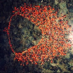 Gorgeous drop necklace handmade in Mexico